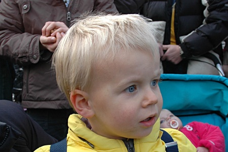 sintinwoerden 313
